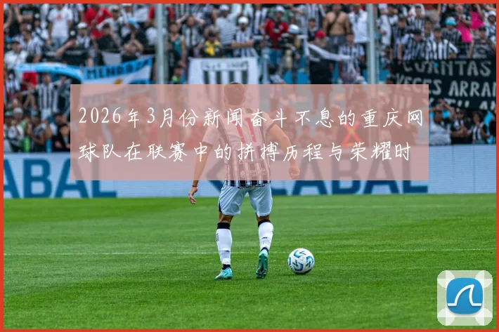 2026年3月份新闻奋斗不息的重庆网球队在联赛中的拼搏历程与荣耀时刻
